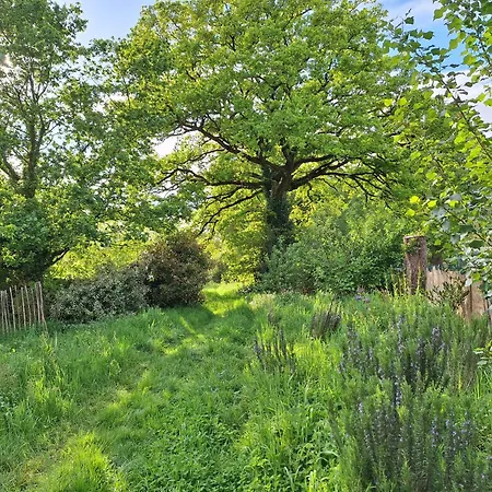 Κάμπινγκ Au Jardins De Koantiz Masserac